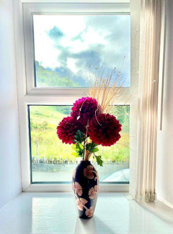 Antur Cottage Blaenau Ffestiniog Bagian luar foto