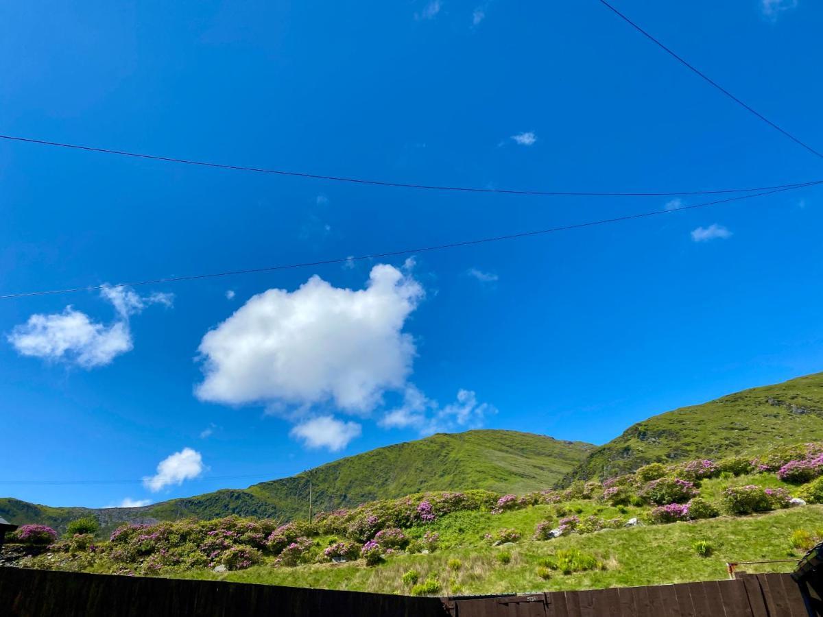 Antur Cottage Blaenau Ffestiniog Bagian luar foto